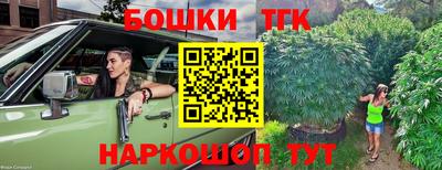 ешки Моздок