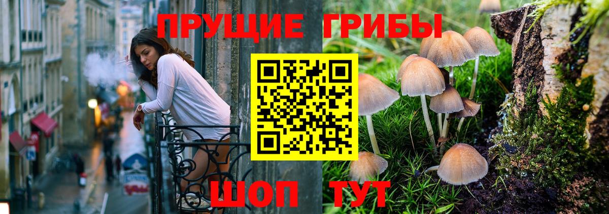 Галлюциногенные грибы мицелий Уссурийск