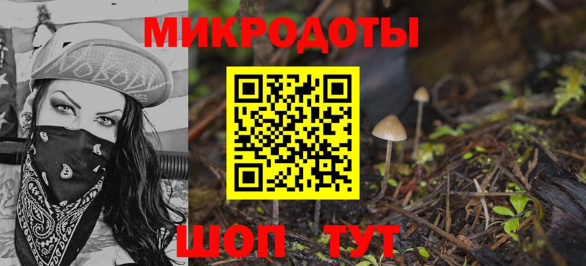 Галлюциногенные грибы GOLDEN TEACHER  магазин продажи наркотиков  Уссурийск  Вход с VPN 